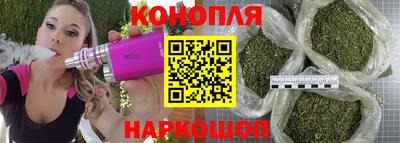 сатива Чебаркуль