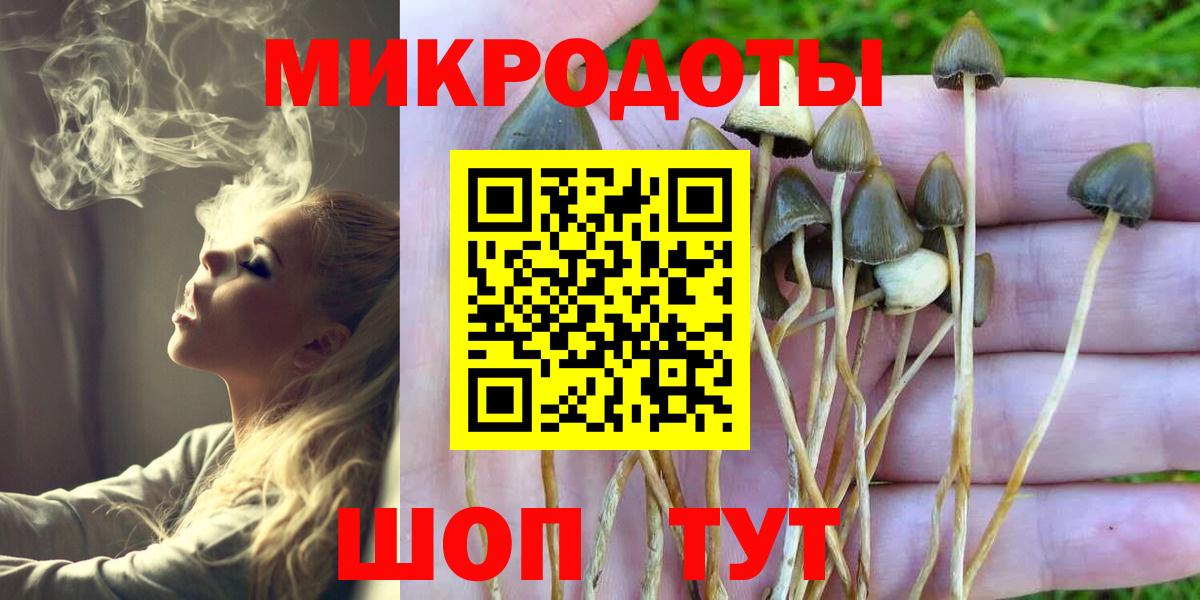 Псилоцибиновые грибы Psilocybine cubensis Кашира