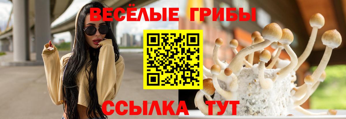 Марихуана  Вход с VPN  Меф   Кашира  Гашиш  Cocaine 